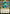 Zimone and Dina (Promo Pack) [March of the Machine Promos] - Magic: The Gathering - Card Brawlers | Quebec | Canada |