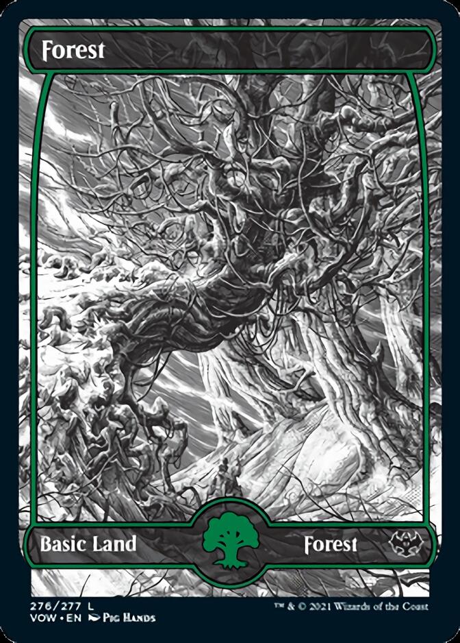 Forest (276) [Innistrad: Crimson Vow] - Magic: The Gathering - Card Brawlers | Quebec | Canada |