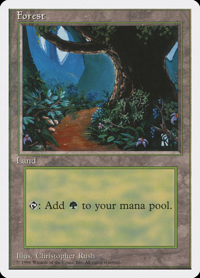 Forest (Dirt Path) [Introductory Two-Player Set] - Magic: The Gathering - Card Brawlers | Quebec | Canada |