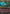 Lightning Bolt (1638) [Secret Lair Drop Series] - Magic: The Gathering - Card Brawlers | Quebec | Canada |