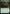 Dodgy Jalopy (Promo Pack) [Streets of New Capenna Commander Promos] - Magic: The Gathering - Card Brawlers | Quebec | Canada |