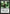 Mardu Strike Leader [Fate Reforged Prerelease Promos] - Magic: The Gathering - Card Brawlers | Quebec | Canada |