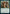 Instrument of the Bards [Dungeons & Dragons: Adventures in the Forgotten Realms] - Magic: The Gathering - Card Brawlers | Quebec | Canada |