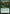 Peema Aether-Seer [Aether Revolt] - Magic: The Gathering - Card Brawlers | Quebec | Canada |