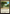 Exotic Orchard [Tarkir: Dragonstorm Commander] - Magic: The Gathering - Card Brawlers | Quebec | Canada |