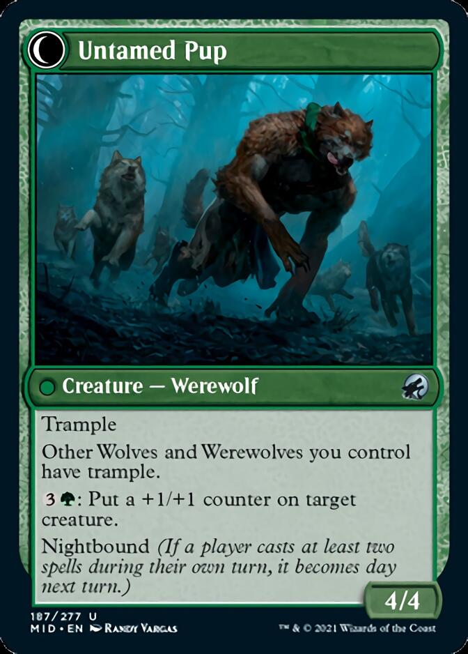 Hound Tamer // Untamed Pup [Innistrad: Midnight Hunt] - Magic: The Gathering - Card Brawlers | Quebec | Canada |