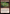 Take Out the Trash [Bloomburrow] - Magic: The Gathering - Card Brawlers | Quebec | Canada |