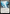 Starfall Invocation [Bloomburrow] - Magic: The Gathering - Card Brawlers | Quebec | Canada |