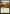 Plains (284) [Commander Anthology Volume II] - Magic: The Gathering - Card Brawlers | Quebec | Canada |
