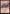 Will of the Jeskai [Tarkir: Dragonstorm Commander] - Magic: The Gathering - Card Brawlers | Quebec | Canada |
