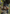 Mirrormere Guardian Art Card (Gold-Stamped Signature) [The Lord of the Rings: Tales of Middle-earth Art Series] - Magic: The Gathering - Card Brawlers | Quebec | Canada |