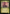 Delighted Halfling [The Lord of the Rings: Tales of Middle-Earth Showcase Scrolls] - Magic: The Gathering - Card Brawlers | Quebec | Canada |