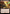 Plasma Caster (Extended Art) [Fallout] - Magic: The Gathering - Card Brawlers | Quebec | Canada |
