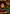 Dockside Extortionist (Borderless) [Avatar: The Last Airbender: Eternal-Legal] - Magic: The Gathering - Card Brawlers | Quebec | Canada |
