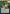 Natural Order (Japanese) [Strixhaven: School of Mages Mystical Archive] - Magic: The Gathering - Card Brawlers | Quebec | Canada |