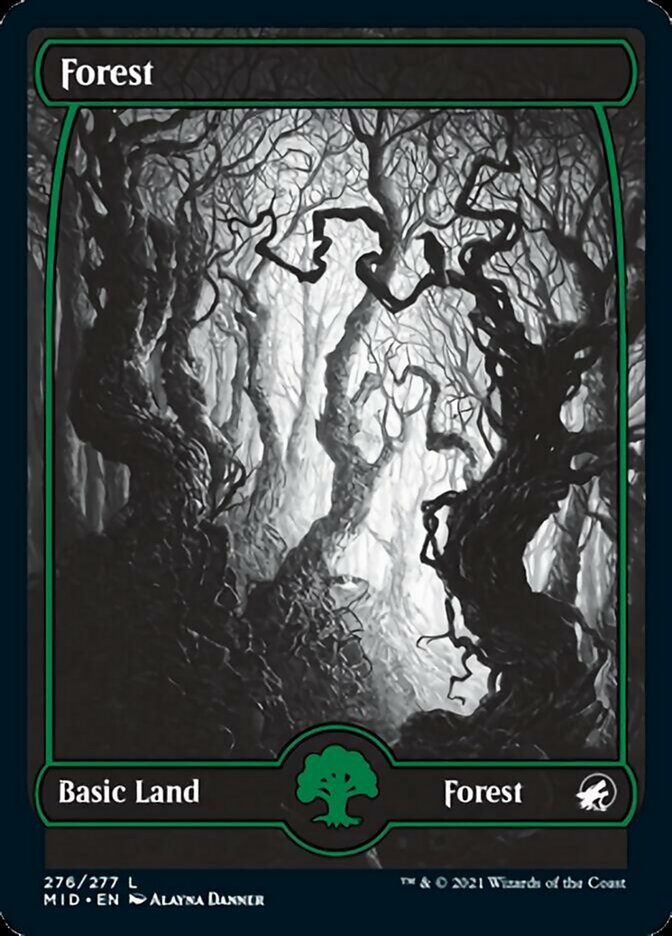 Forest (276) [Innistrad: Midnight Hunt] - Magic: The Gathering - Card Brawlers | Quebec | Canada |