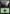 Forest (184) [Fate Reforged] - Magic: The Gathering - Card Brawlers | Quebec | Canada |