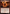 Combustion Man [Avatar: The Last Airbender] - Magic: The Gathering - Card Brawlers | Quebec | Canada |