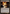 Terramorphic Expanse [Secret Lair: From Cute to Brute] - Magic: The Gathering - Card Brawlers | Quebec | Canada |