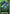 Rising Freedom Gundam (EB01-039) - Eternal Nexus