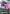 Justice Gundam (EX) (EB01-044) - Eternal Nexus Holofoil