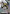Mobile Worker (Tekkadan) (C+) (ST10-010) - Starter Deck 10 Generation Pulse Holofoil