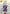 Nano Eiai (012) (R*) (UE21BT/RLY-1-012) - UE21BT The 100 Girlfriends Who Really Really Really Really REALLY Love You Foil