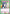 Shizuka Yoshimoto (061) (UE21BT/RLY-1-061) - UE21BT The 100 Girlfriends Who Really Really Really Really REALLY Love You
