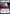 Paz Vizsla - For a Brighter Future (Hyperspace) (292) - Ashes of the Empire