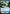 Cybernetic Enhancements (Hyperspace) (351) - Ashes of the Empire