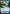 Cybernetic Enhancements (Hyperspace Foil) (589) - Ashes of the Empire Foil