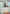 Professor's Research [Professor Birch] (221) - Holofoil [Professor Program Promos]