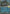 Zarude (What's Your Favorite Stamp) (056/null) - Holofoil [Miscellaneous Cards & Products]