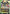 Gundam AGE-2 Normal (SP Ver.) (GD05-024) - Freedom Ascension