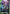 Kayra's Re-GZ (GD05-029) - Freedom Ascension
