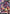 Sazabi (GD05-049) (GD05-049) - Freedom Ascension Holofoil