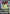 Sazabi (GD05-052) (GD05-052) - Freedom Ascension Holofoil