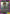 Denji (006) (UE22BT/CSM-1-006) - UE22BT CHAINSAW MAN Foil