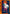 Action Point Card (AP01) (UE22BT/CSM-1-AP01) - UE22BT CHAINSAW MAN