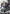 Gundam Sandrock Custom (EW) (R+) (Link Rare) (GD05-071) - Freedom Ascension Holofoil