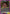 Kobeni (001) (UE22BT/CSM-1-001) - UE22BT CHAINSAW MAN Release Event
