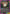 Angel Devil (009) (UE22BT/CSM-1-009) - UE22BT CHAINSAW MAN Release Event