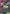 Aki Hayakawa (011) (UE22BT/CSM-1-011) - UE22BT CHAINSAW MAN Release Event