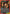Kobeni (044) (UE22BT/CSM-1-044) - UE22BT CHAINSAW MAN Release Event