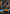 Jayce - Defender of Tomorrow (Signature) (194*/166) - Vendetta Foil