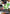 Chainsaw Man (048) (SR*) (UE22BT/CSM-1-048) - UE22BT CHAINSAW MAN Foil