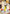Sesshomaru (007) (R*) (UE23BT/IYS-1-007) - UE23BT Inuyasha Foil