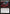 Feed the Swarm [Commander 2021] - Magic: The Gathering - Card Brawlers | Quebec | Canada |