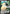 Snorlax V (141/202) (Oversized) [Sword & Shield: Base Set] - Pokémon - Card Brawlers | Quebec | Canada |