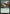 Snapping Sailback [Mystery Booster] - Magic: The Gathering - Card Brawlers | Quebec | Canada |